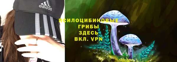 стафф Абдулино