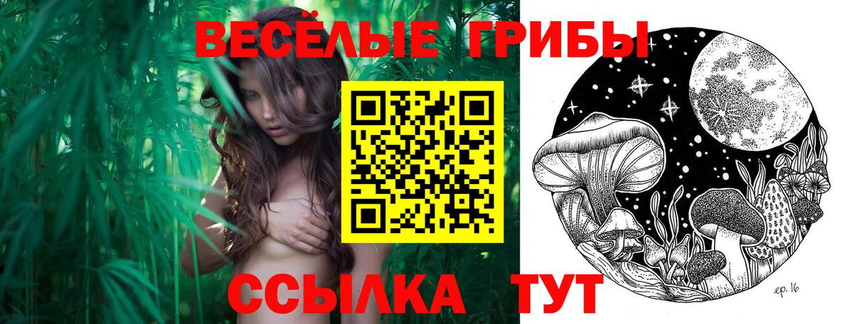 Псилоцибиновые грибы Cubensis Стерлитамак